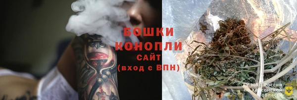 ГАЛЛЮЦИНОГЕННЫЕ ГРИБЫ Зеленодольск