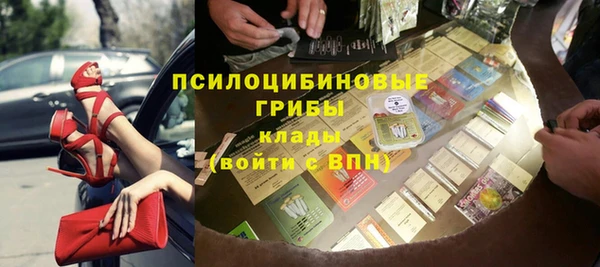 spice Инта