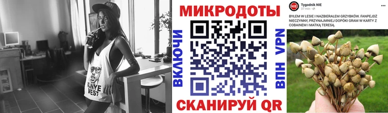 Купить где  Усть-Кут  Галлюциногенные грибы ЛСД 